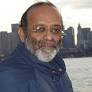 Babu Subramaniam - Wikiunfold.com